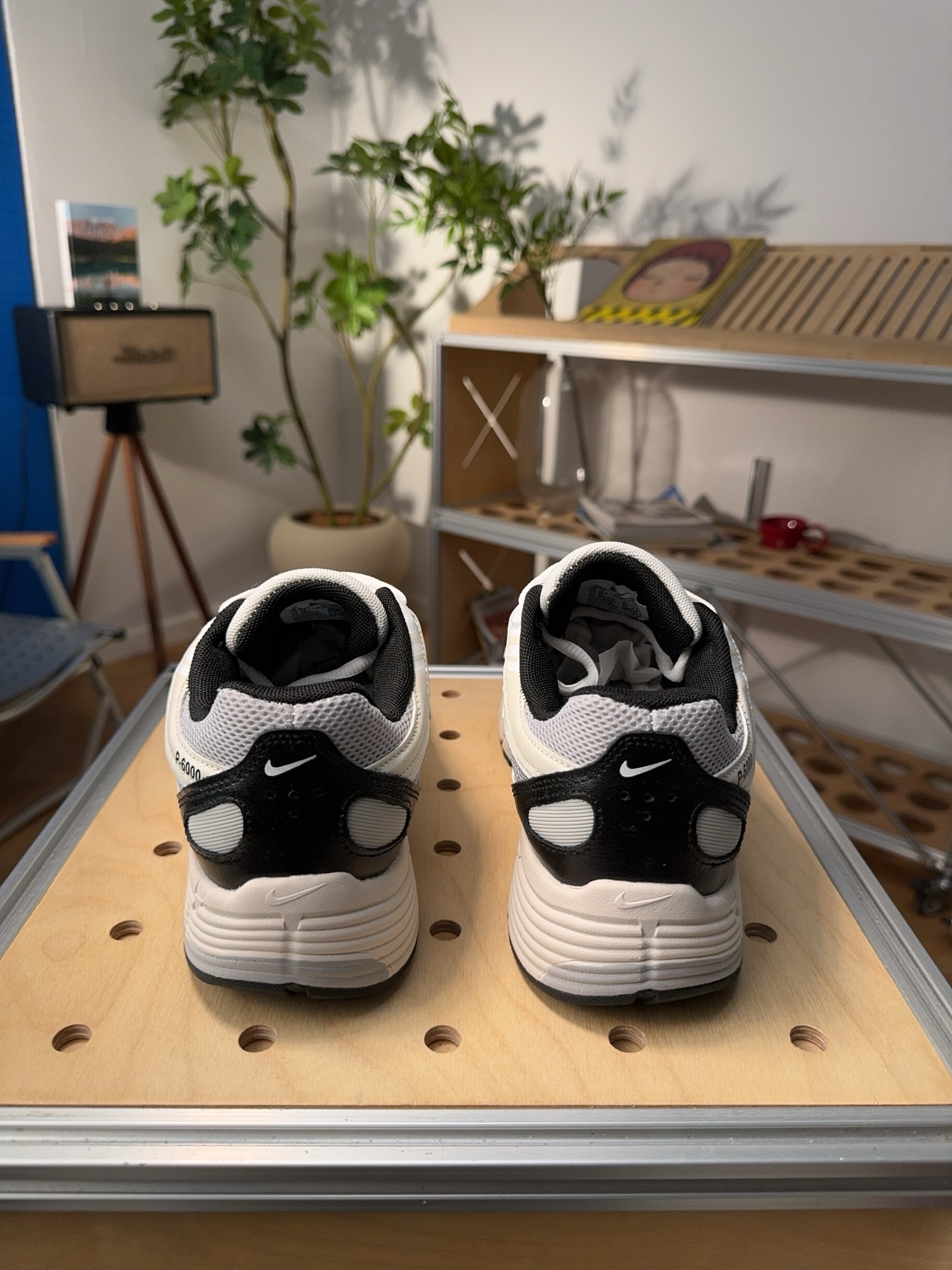 Nike Jordan